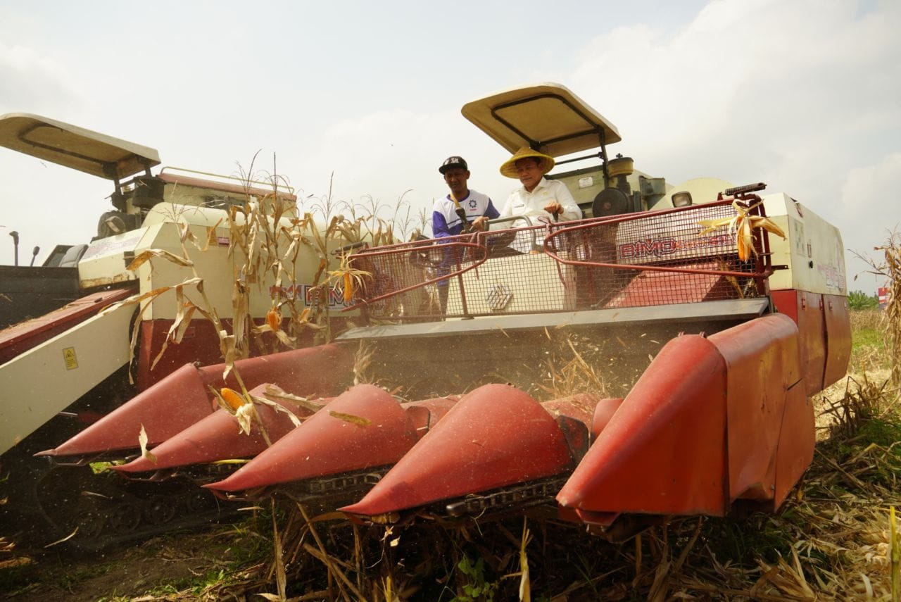 H. Subandi Bupati Sidoarjo Bersama Kapolda Jawa Timur Panen Raya Jagung Mendukung Program Ketahanan Pangan Nasional