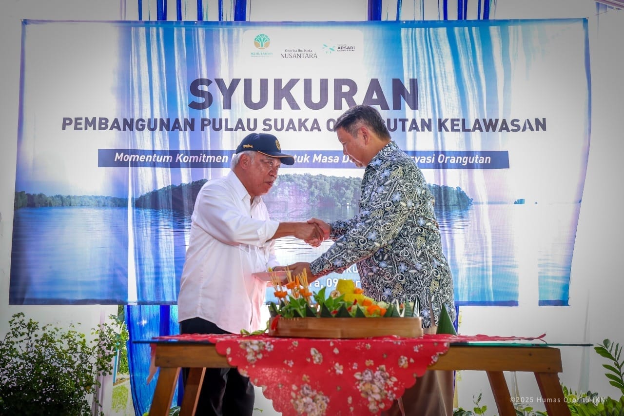 Pembangunan Pulau Kelawasan Sebagai Pusat Suaka Orangutan Dimulai