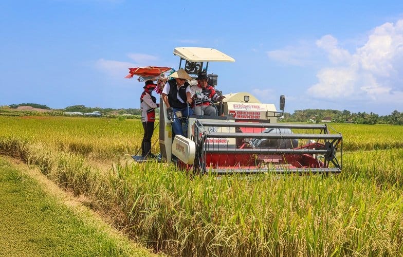 Penugasan Pemerintah Kepada BULOG Dalam Upaya Mewujudkan Swasembada Pangan Nasional