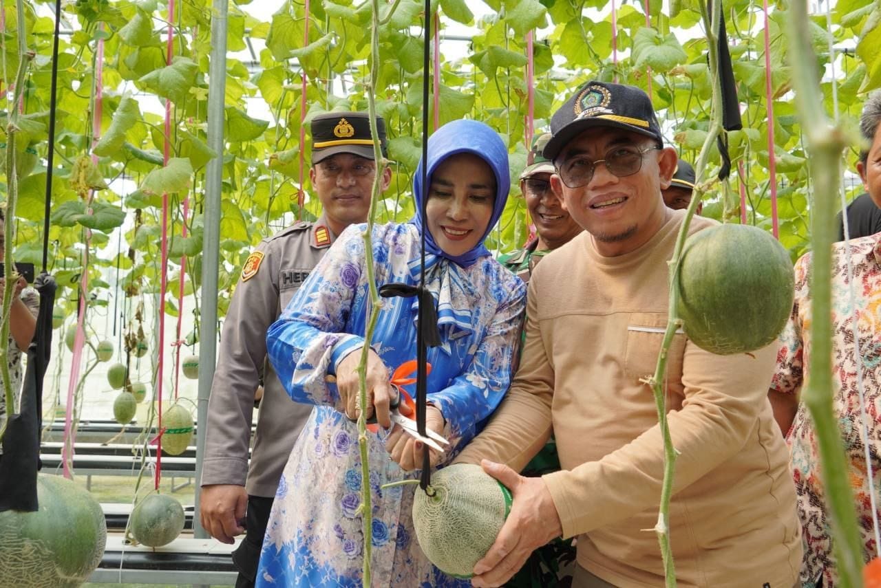 Melon Hidroponik Desa Gempol Klutuk Mendapat Apresiasi Wabup Hj. Mimik Idayana