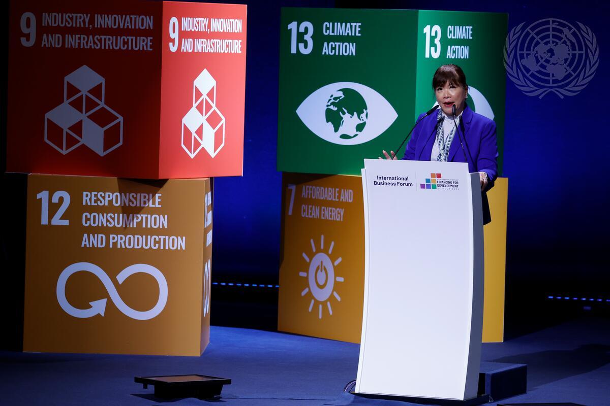 Ketum APINDO Dipercaya Sebagai Co-Chair Business Steering Committee FFD4 Tampil Di Forum PBB