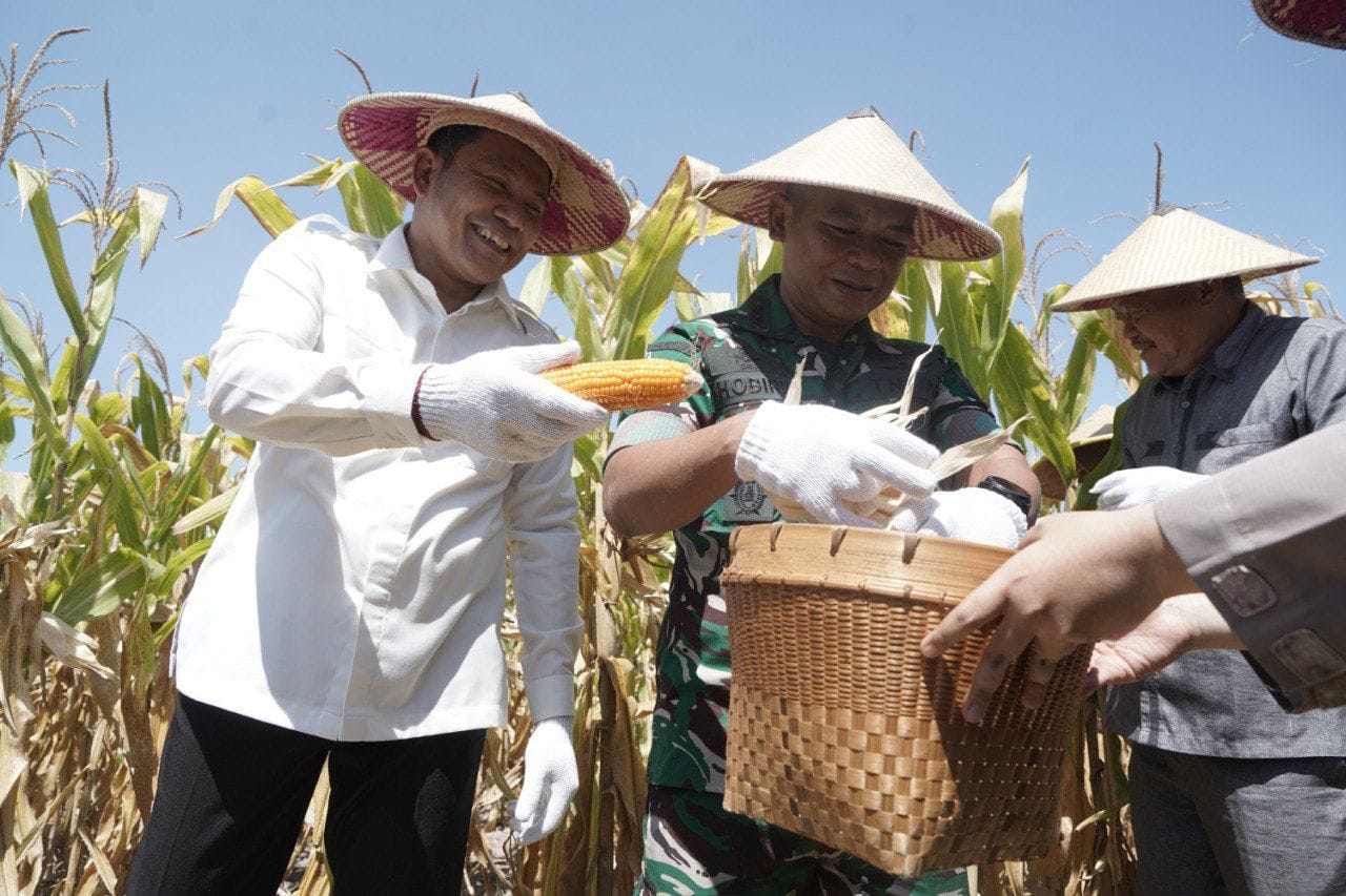 Sukses Panen Raya Jagung Program Polri Kuartal III 2025 Sinergitas Bupati Dan Kapolresta Sidoarjo