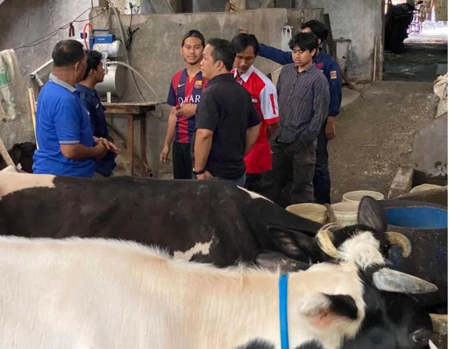 UNESA Hadirkan Mesin Pemerah Susu Semi-Otomatis Peternak Sapi Di Sidoarjo Kini Tak Perlu Capek Lagi