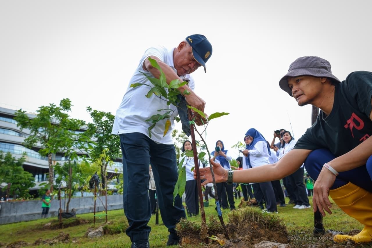Peringati Hari Cinta Puspa Dan Satwa Nasional Otorita IKN Tanam 600 Pohon
