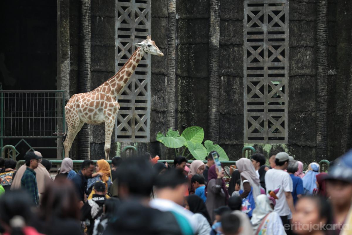Pengunjung Taman Margasatwa Ragunan (TMR) Selama Libur Panjang Paskah 2026 Mencapai 119.652 Wisatawan
