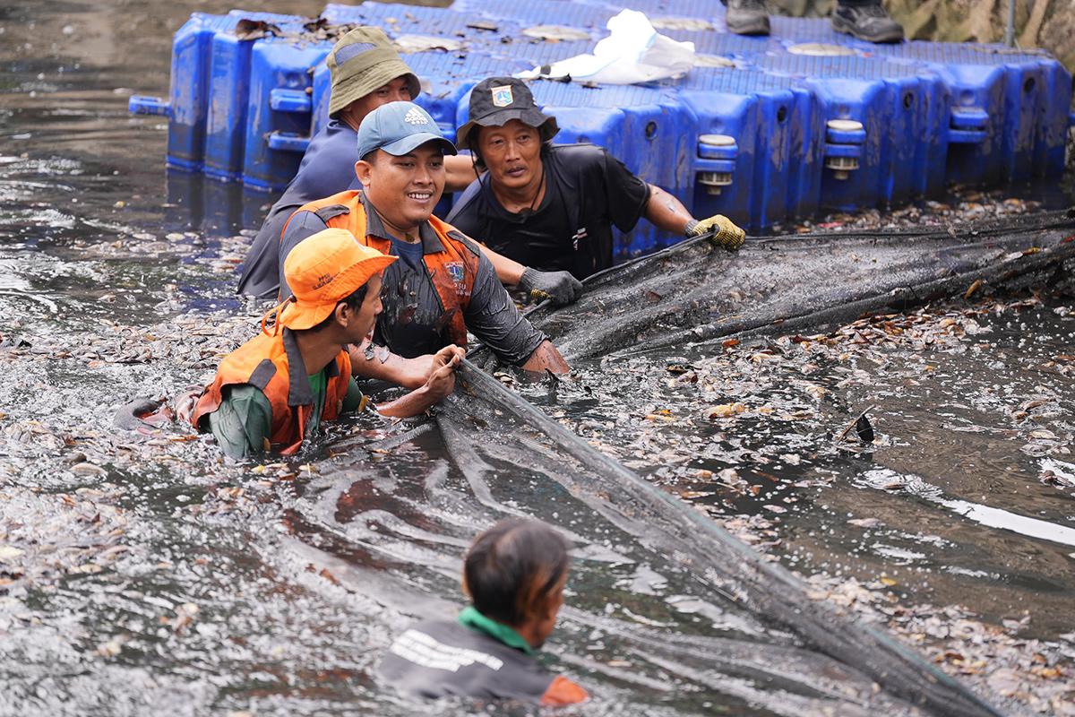 Dosen FPK UNAIR Soroti Ledakan Ikan Sapu-Sapu, Alarm Ekologi Dari Sungai Tercemar
