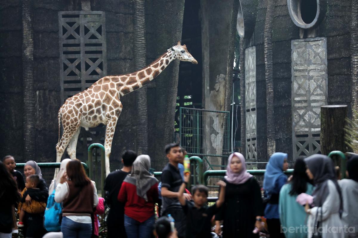 Pemprov DKI Gratiskan Transum Sampai Tempat Wisata, Kado HUT Ke-499 Jakarta
