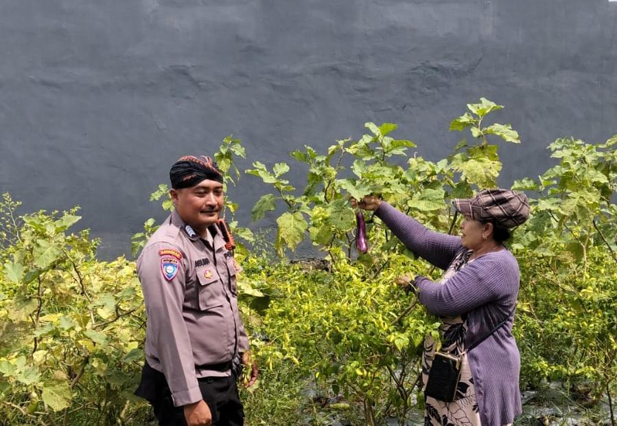 Bhabinkamtibmas Kelurahan Sentul Sambangi KWT Binaan Polri, Dukung Ketahanan Pangan Dan Pererat Kemitraan Dengan Warga