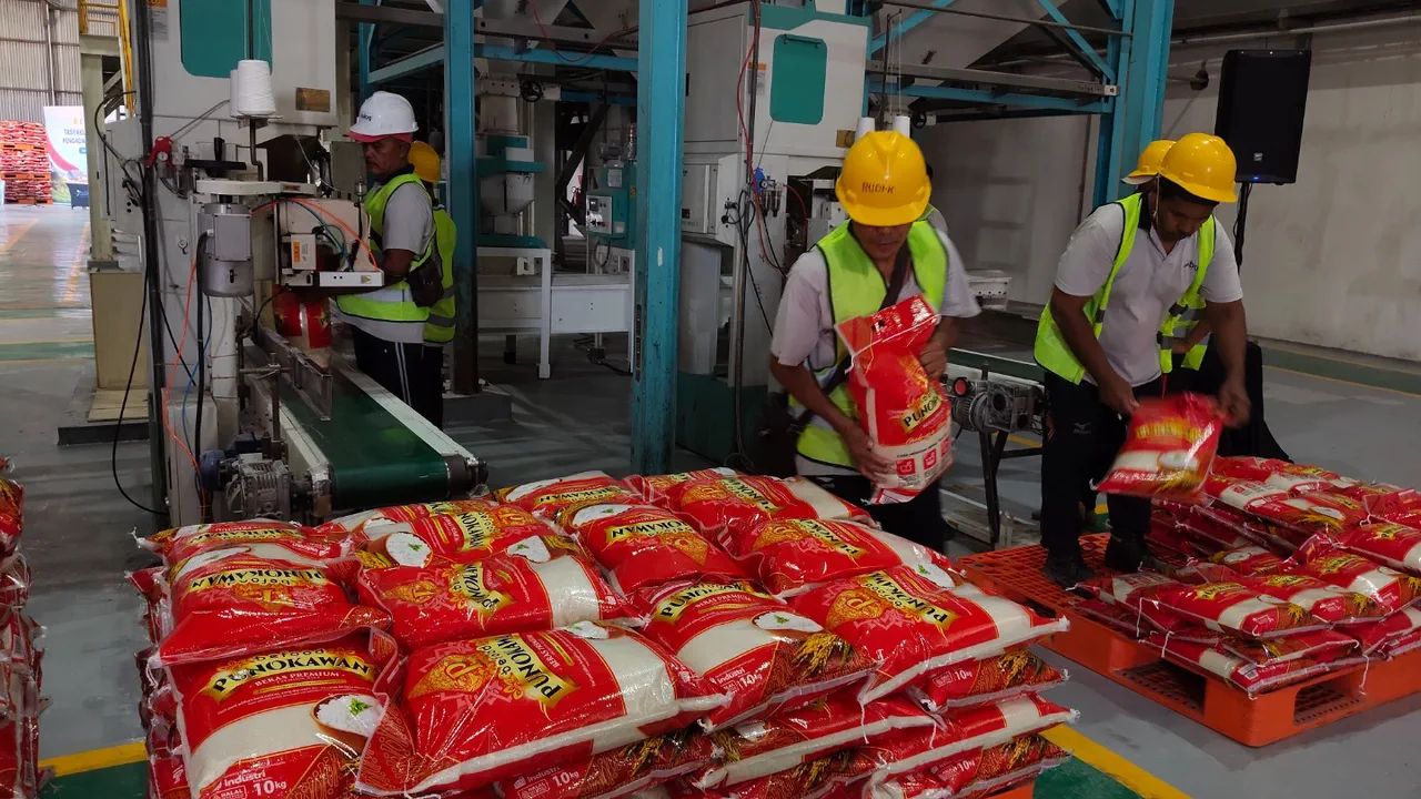 Cadangan Beras Pemerintah Capai 4,5 Juta Ton, Bulog Siaga Jaga Ketahanan Pangan Dan Antisipasi El Nino